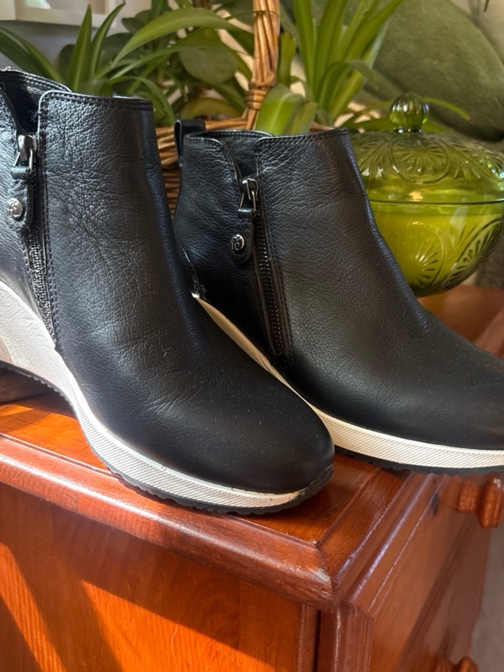 Alex Marie Black Wedge Ankle Booties with White Trim
